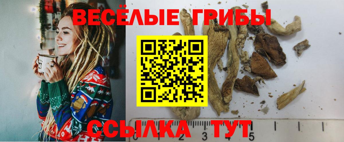 Южноуральск  Псилоцибиновые грибы ЛСД  Вход с VPN 