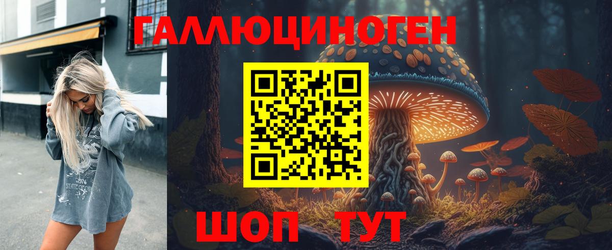 Псилоцибиновые грибы Psilocybe Южноуральск